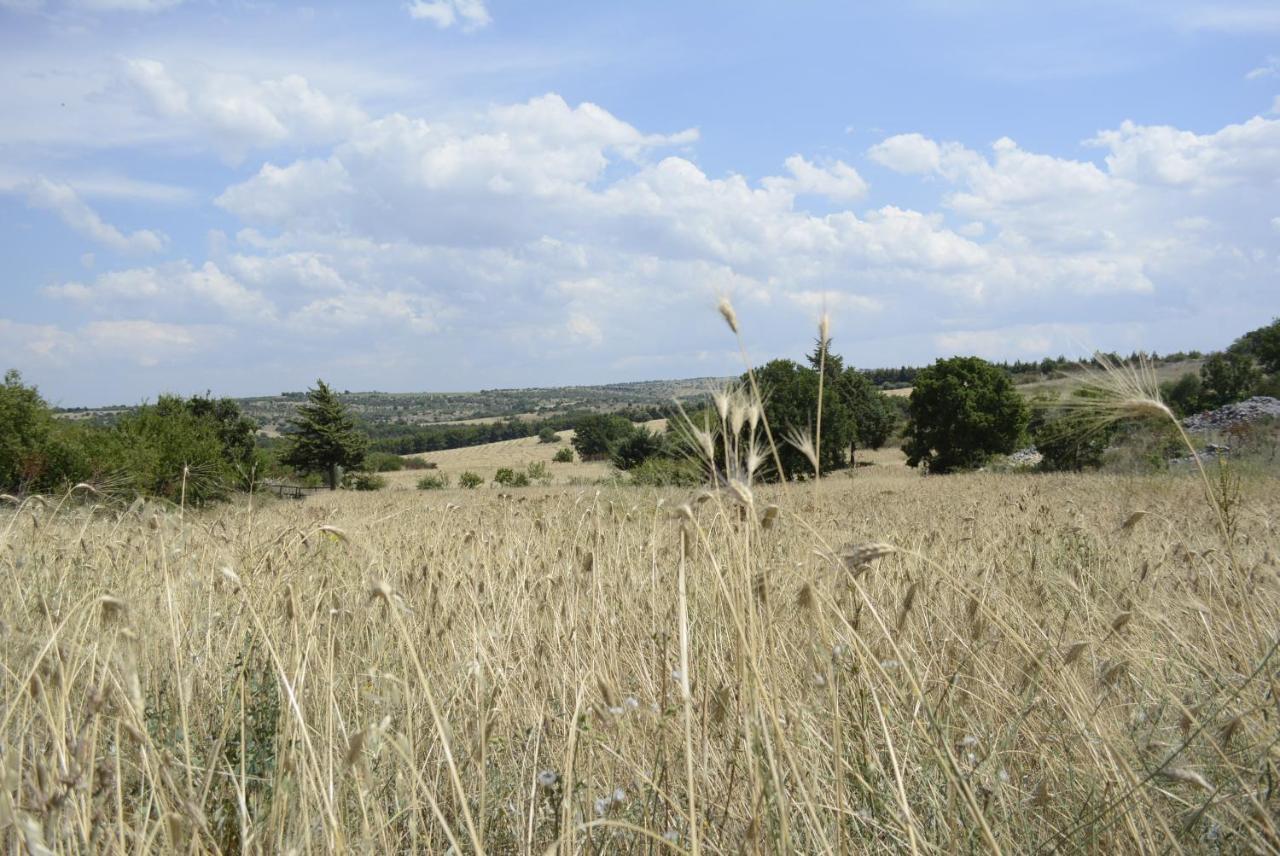 Agriturismo Poggio Ferrata Ruvo di Puglia Extérieur photo